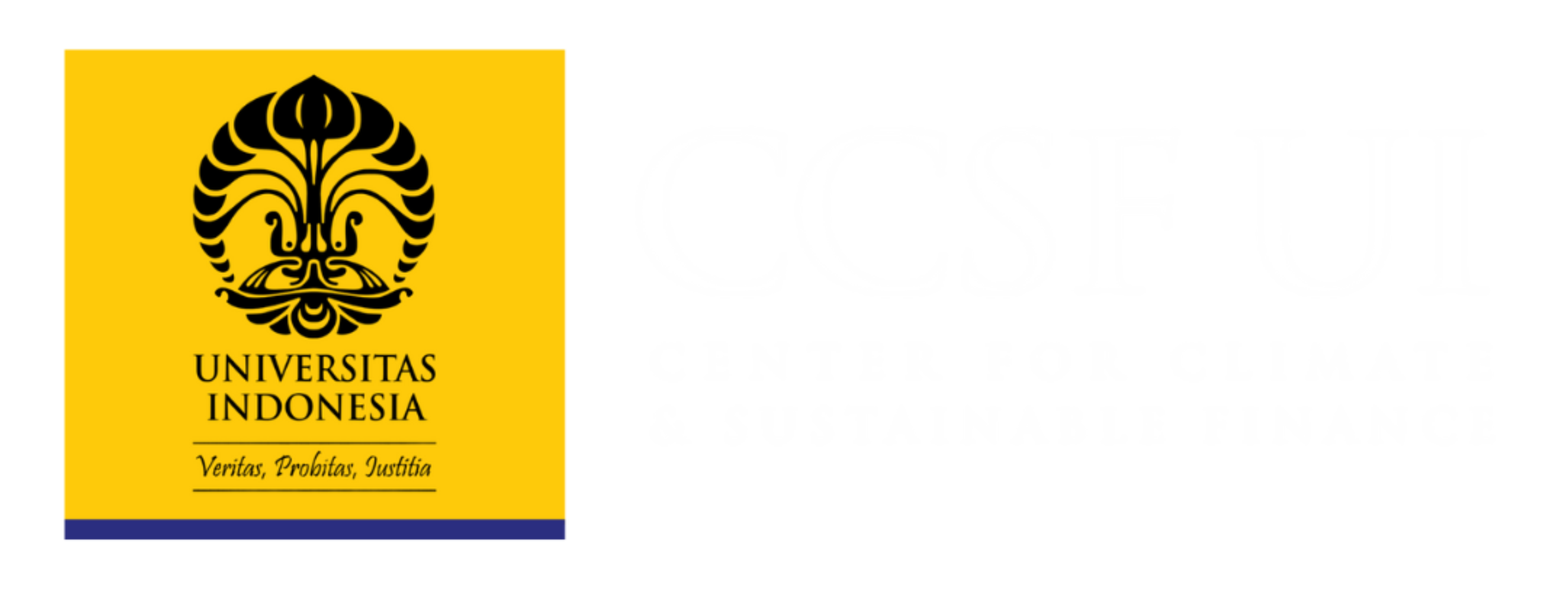 Center for Climate and Sustainable Finance Logo